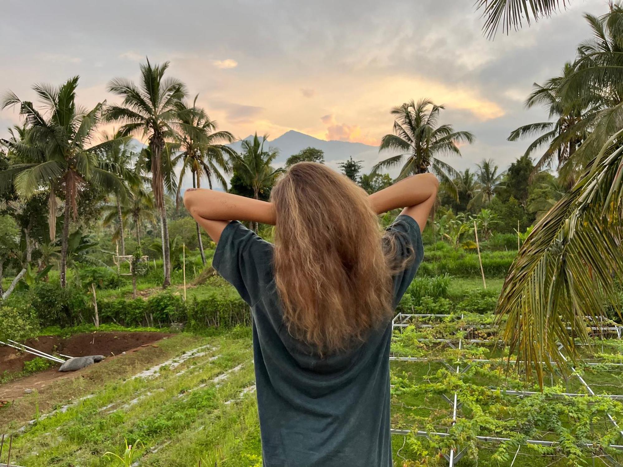 Rinjani Eco Villa Senaru Bayan エクステリア 写真