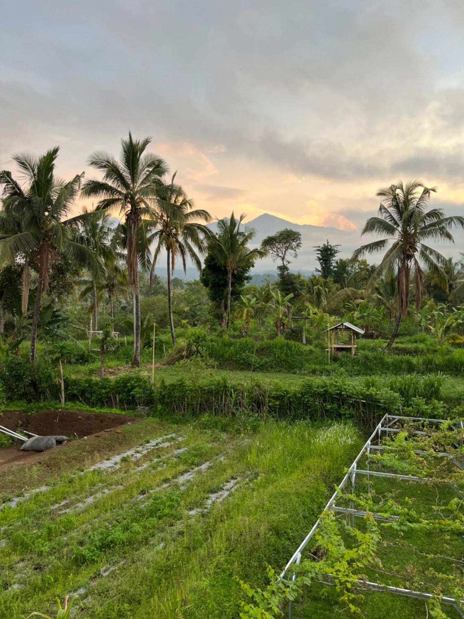 Rinjani Eco Villa Senaru Bayan エクステリア 写真