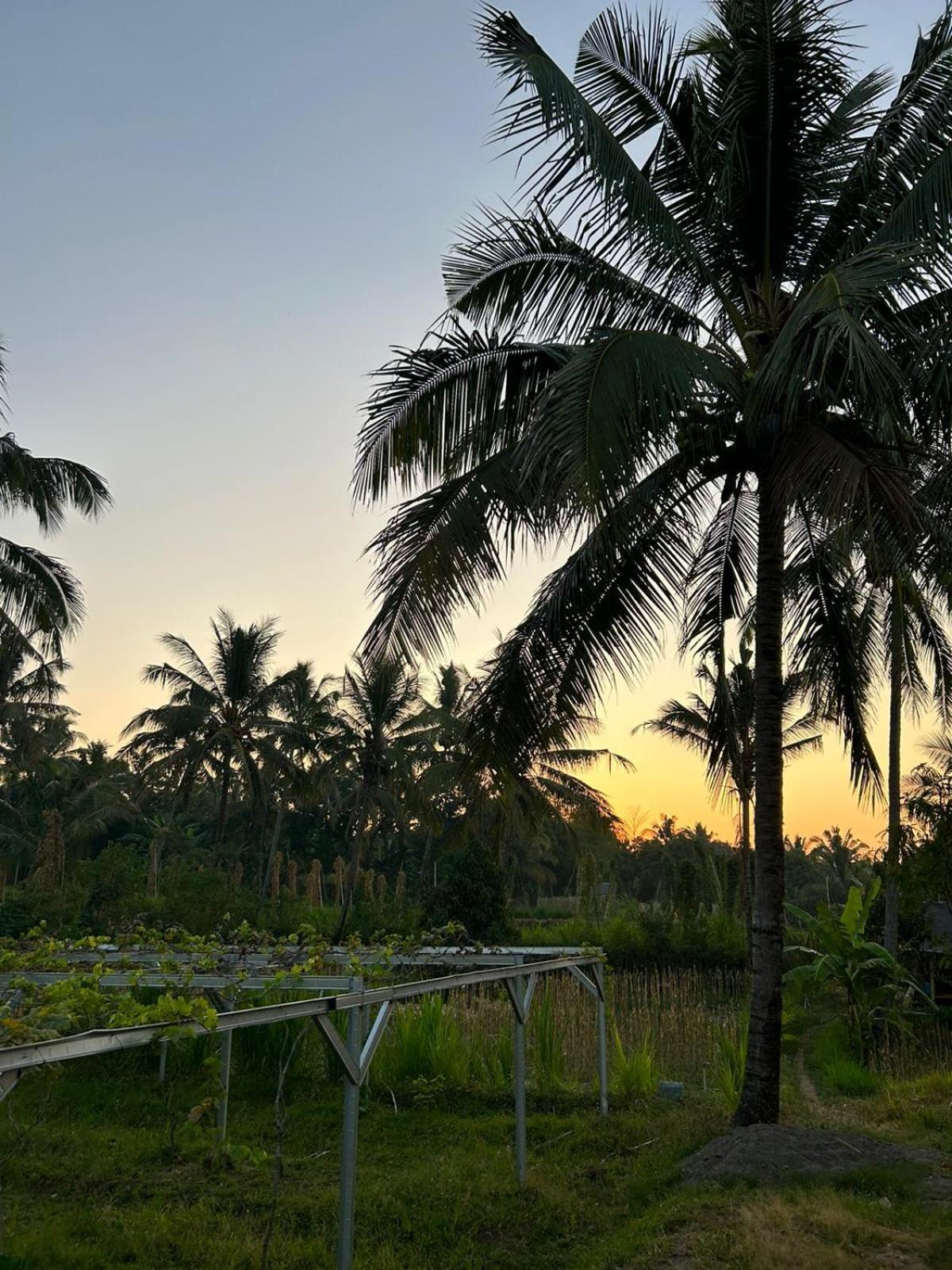 Rinjani Eco Villa Senaru Bayan エクステリア 写真
