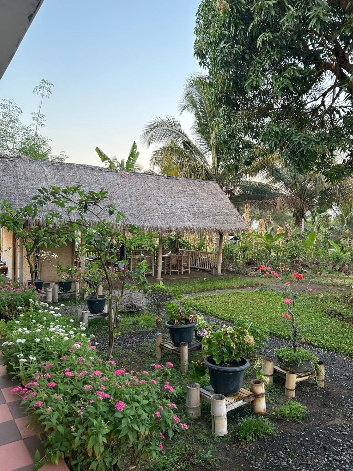 Rinjani Eco Villa Senaru Bayan エクステリア 写真