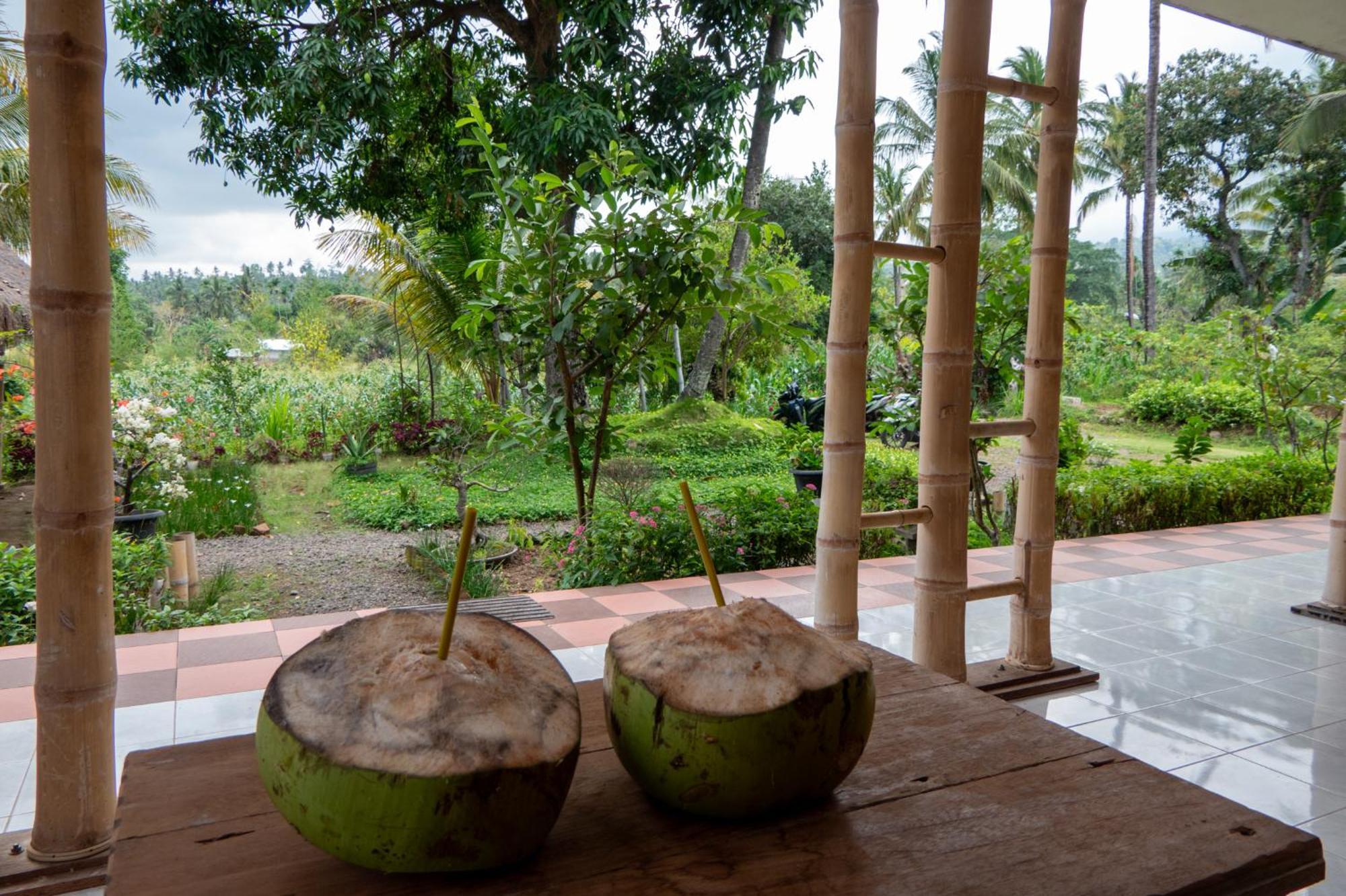 Rinjani Eco Villa Senaru Bayan エクステリア 写真